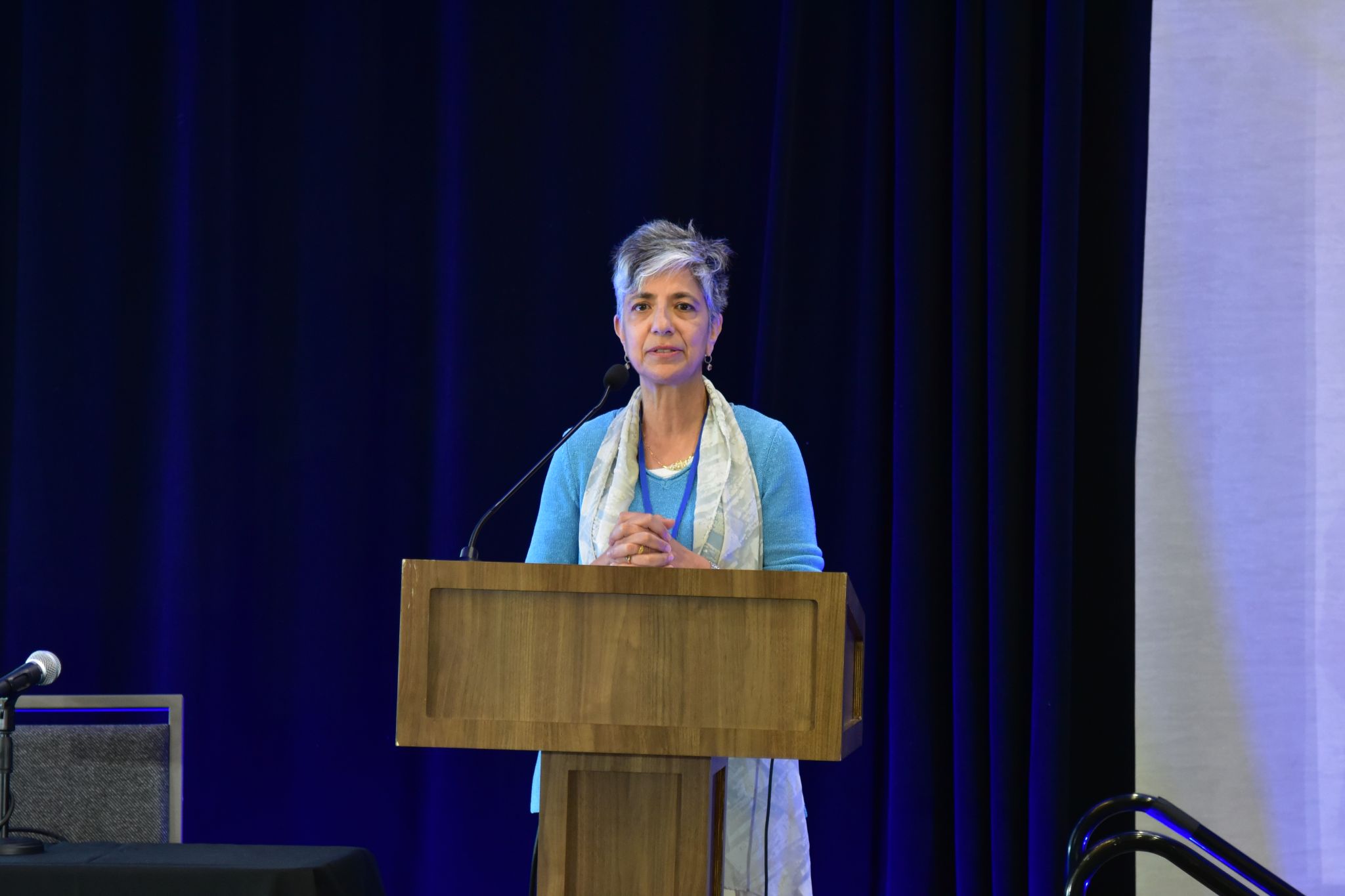 Dr. R. Iris Bahar keynote speaker photo 1